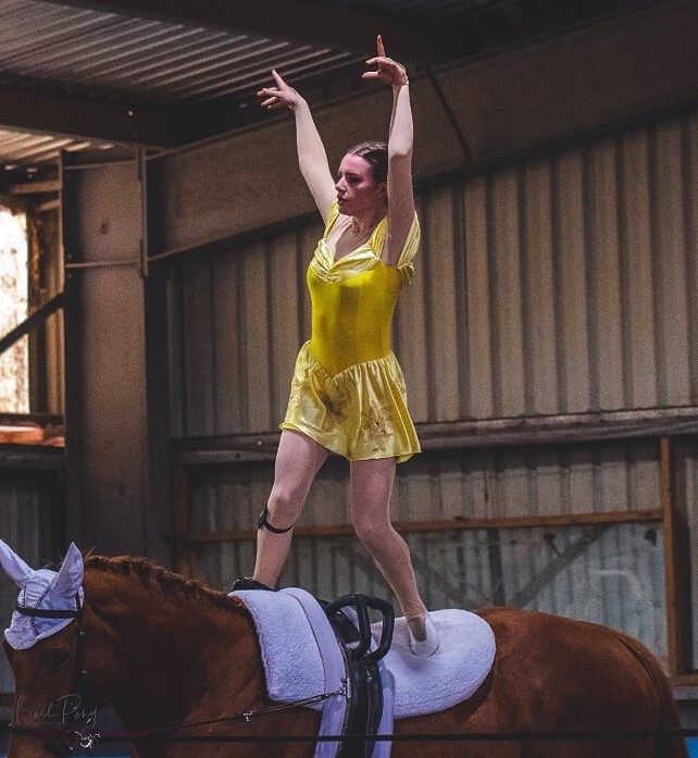 Volunteer Job Descriptions Equestrian South Australia